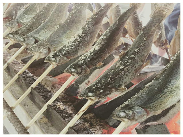 魚の塩焼き 岐阜