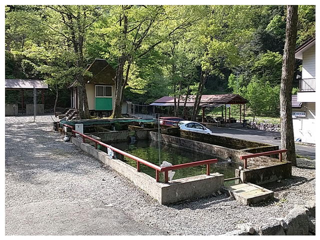 釣り堀 子供向け 岐阜