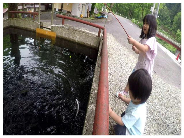 釣り堀 子供向け 岐阜